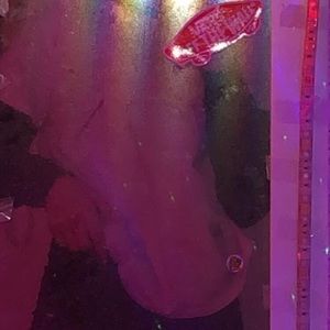 Meet your Posher, Skye